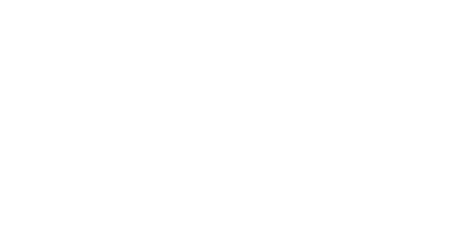 AngieLogo-White-Trans.png